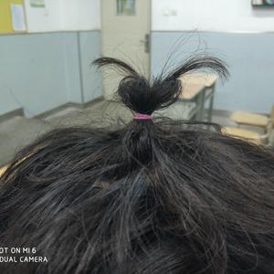 米奇狠狠去哪拉
